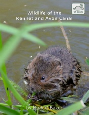 UK Canals series