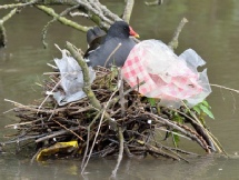 2016 05 30 153 Grand Union Canal.jpg